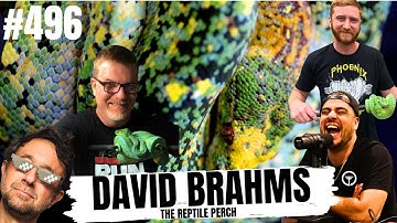 WHEN THE HARD WORK PAYS OFF BREEDING GREEN TREE PYTHONS | ALL IN THE TREE TUESDAY