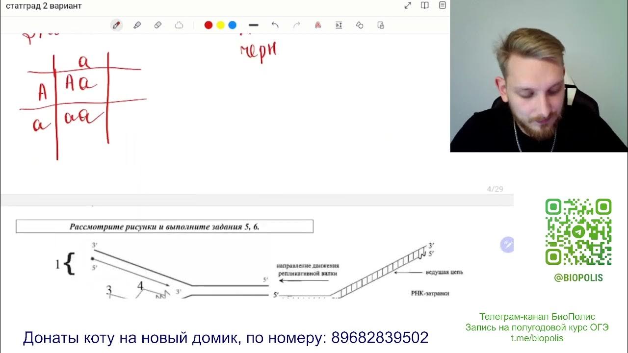 Статград биология 2023. Разбор варианта статград по биологии февраль. Разбор варианта биология 2023 ОГЭ. Рохлов 14 вариант биология.