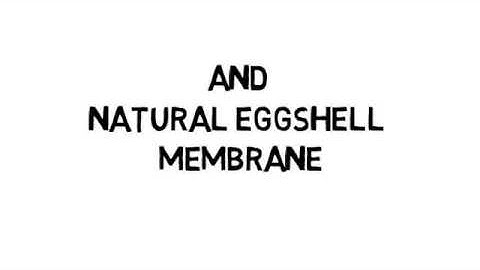 Whiteboard Video Scribe - Animation Videos (1)