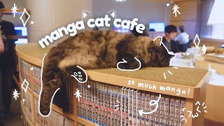 a MANGA CAT CAFE in japan!! // i want to live here