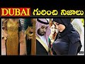 దుబాయ్ గురించి తెలియని నిజాలు | Unknown Facts About Dubai In Telugu | Dubai UAE Facts | Vlogger Hari