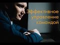 Эффективное управление командой