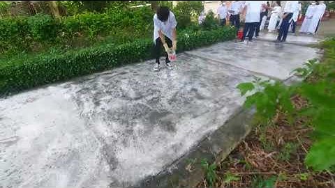 stem - Dùng vôi sống tẩy rong rêu