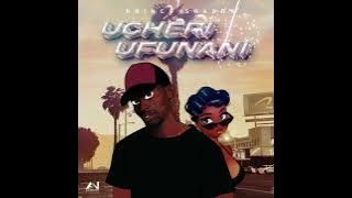 Prince Shadow - Ucheri Ufunani [ Visualiser]