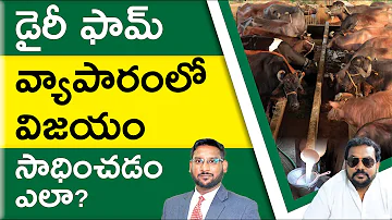 Dairy Farming in Telugu - How to Start a Dairy Farming? | Dairy Farming Benefits | Kowshik Maridi