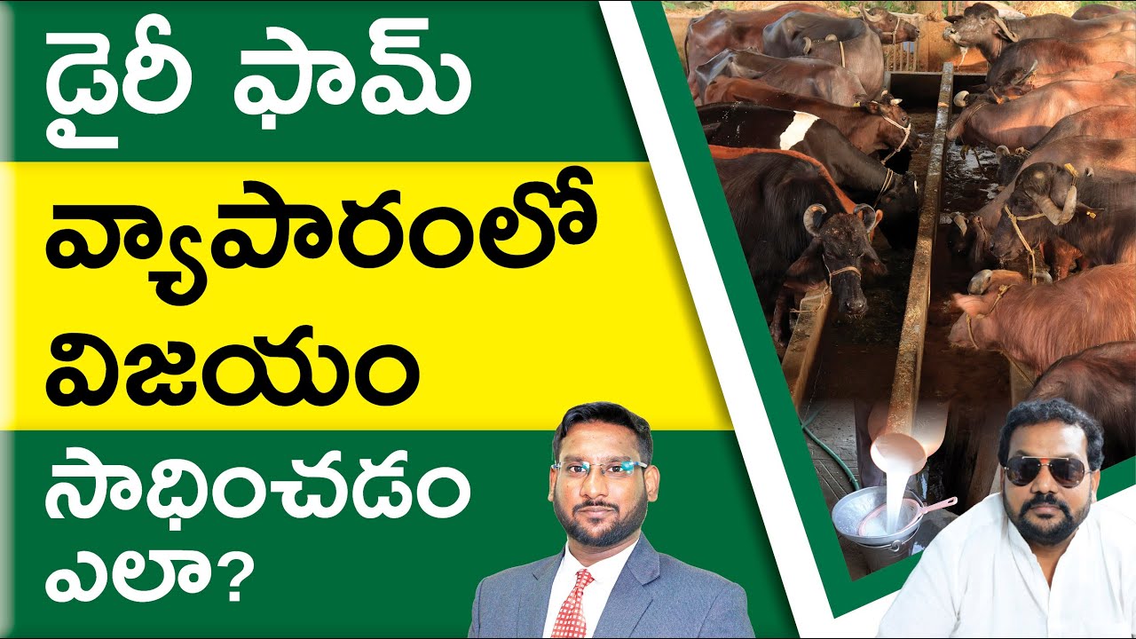 Dairy Farming in Telugu How to Start a Dairy Farming? Dairy Farming