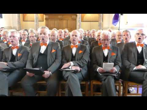 Vaderlandse liederen 1,Martin Zonnenberg orgel met samenzang Vianen 2017