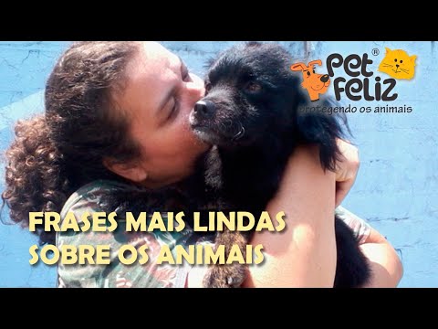 Vídeo: Melhores Citações Sobre Animais E Pessoas