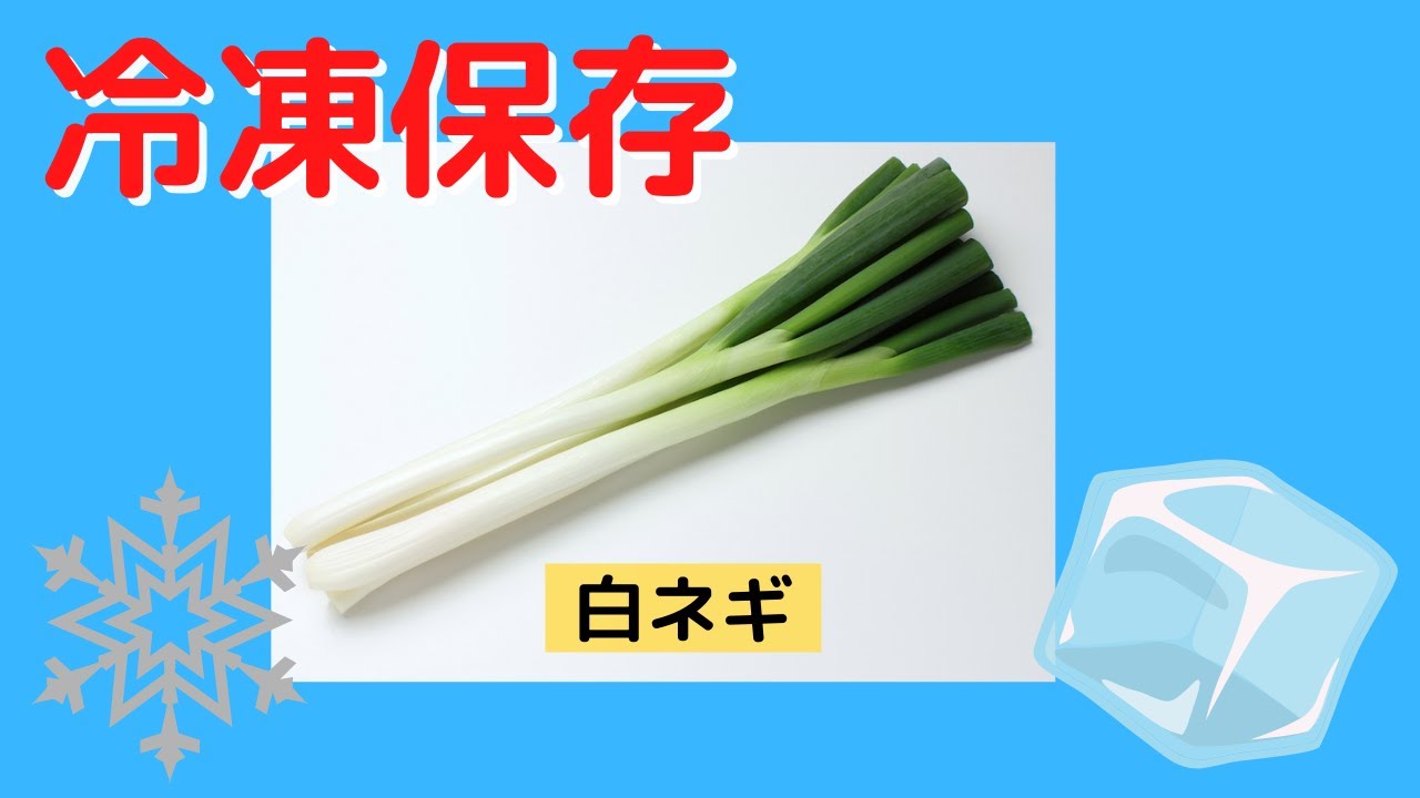 白ネギ冷凍 白ネギの冷凍保存の方法です Youtube