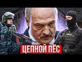 Лукашенко ПИЗ*ЕЦ / Что ждет Беларусь #Новости