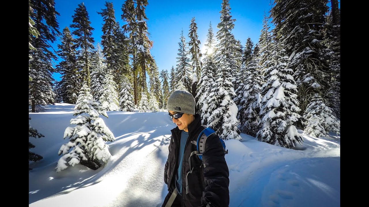 Yosemite Snowshoeing Badger pass to Dewey point YouTube