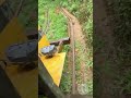 Variable Gauge Train ! #interesting #facts #amazing #innovation #experiment