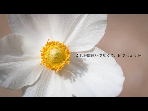 ヒューマンエラー-Cover/あゆ