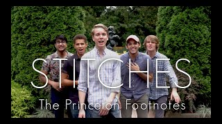 Stitches - The Princeton Footnotes (Shawn Mendes Cover)