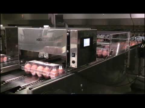 MJ Printer for Coding egg boxes