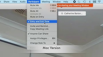 How to get rid of Entry and Exit noises in WebEx