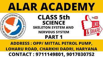 CLASS 5TH |  SCIENCE | CHAPTER 8 |  SKELETAL SYSTEM AND NERVOUS SYSTEM | PART - 1