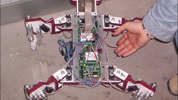 Tetrapod_03 | 1st Prototype - Basic Stamp - Inventor - Tutorial - DIY -  makerbot 3D Printing