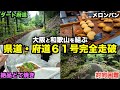 【最狭】大阪と和歌山を結ぶ狭すぎる県道・府道61号をドライブ!スリル満点の道に絶品グルメ発見!!