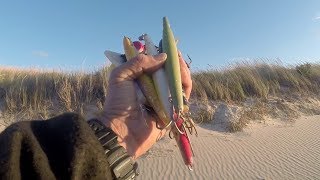 My BEST TOP #5 FALL STRIPED BASS SURF FISHING LURES of 2019 