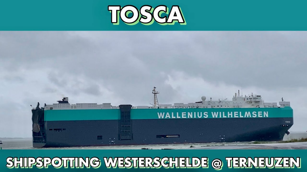 Shipspotting Westerschelde Terneuzen "Tosca" 26032023 (2) YouTube