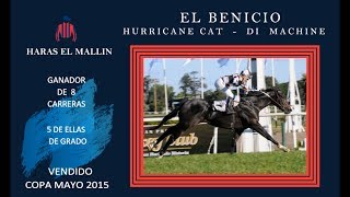 El Benicio  (Hurricane Cat -  Di Machine)