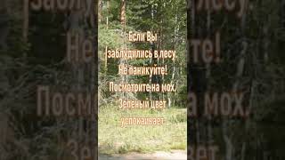 Если Вы заблудились. Самые смешные анекдоты.  #шутки #анекдоты #приколы #юмор