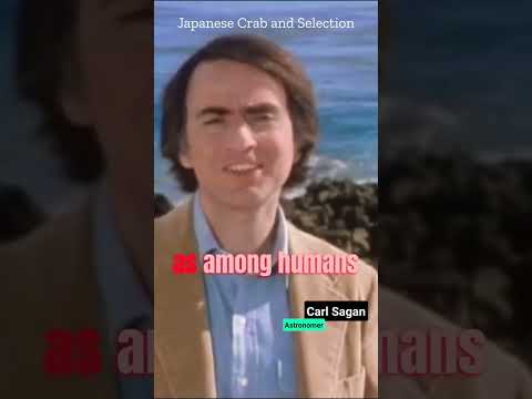 Human impact on