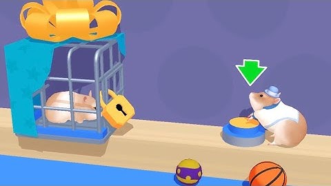 Hamster Maze - All Levels Gameplay Android, iOS