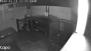PizzaTV HQ Live