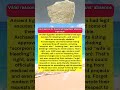 Ancient Egyptians // UNEXPECTED work excuses revealed #shorts