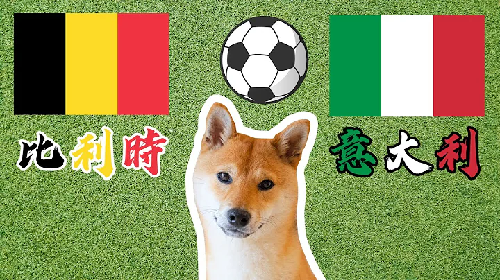 神犬燈泡預測 歐洲杯 比利時vs義大利 四分之一比賽  快來下注吧 - 天天要聞