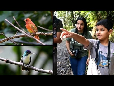 Video: ¿Era un observador de aves famoso?