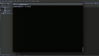Python Website Scanner IP Address