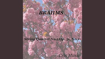 String Quartet No.1, Op.51 No.1: 3. Allegretto molto moderato e comodo — Un poco più animato