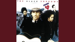 Miniatura de vídeo de "The Black Sorrows - Hold It Up To The Mirror"