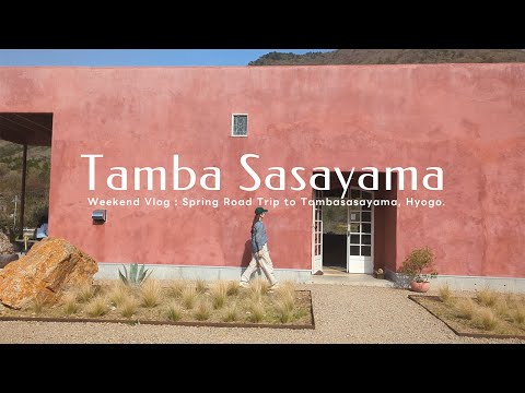 【丹波篠山】絶景おにぎりランチ・器探し・おしゃれカフェ|休日ドライブVlog