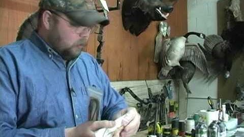 Bow Tuning Tips/String Replacement