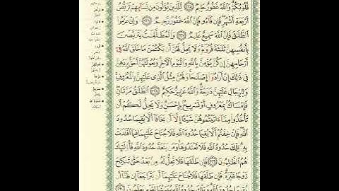 المصحف المرتل برواية حفص عن عاصم الصفحة رقم 36 #القرآن_الكريم #اكسبلور #المصحف #تيك_توك