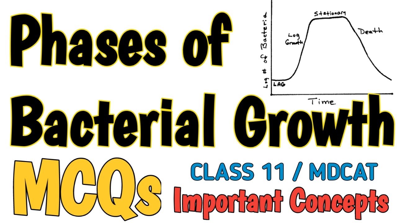 PHASES OF BACTERIAL GROWTH | MCQS | PROKARYOTES | BIOLOGY 11 and MDCAT | NEET
