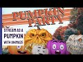 Join the animaze halloween pumpkin party  stream as a pumpkin with these animaze avatars