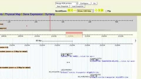 How to zoom into the SoyBase Genome Viewer