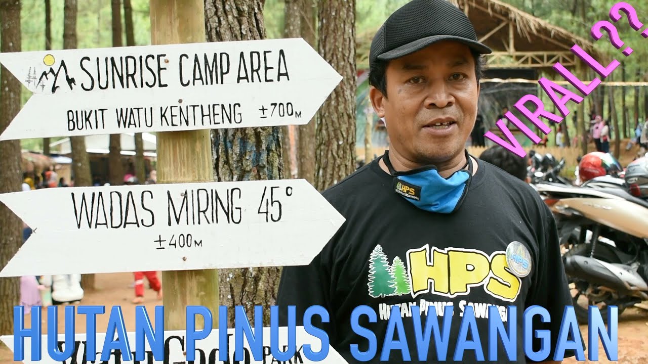 Viral!!! Tempat Wisata Hutan Pinus Sawangan Mirip di puncak #Sawangan #Ajibarang #Banyumas - YouTube