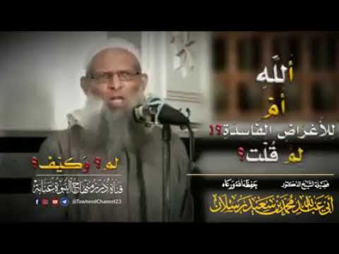 لم قلت لم عملت