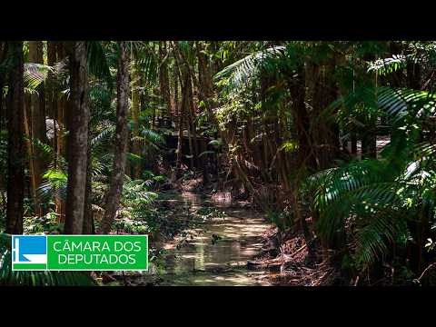 COMISSÃO DA AMAZÔNIA E DOS POVOS ORIGINÁRIOS E TRADICIONAIS