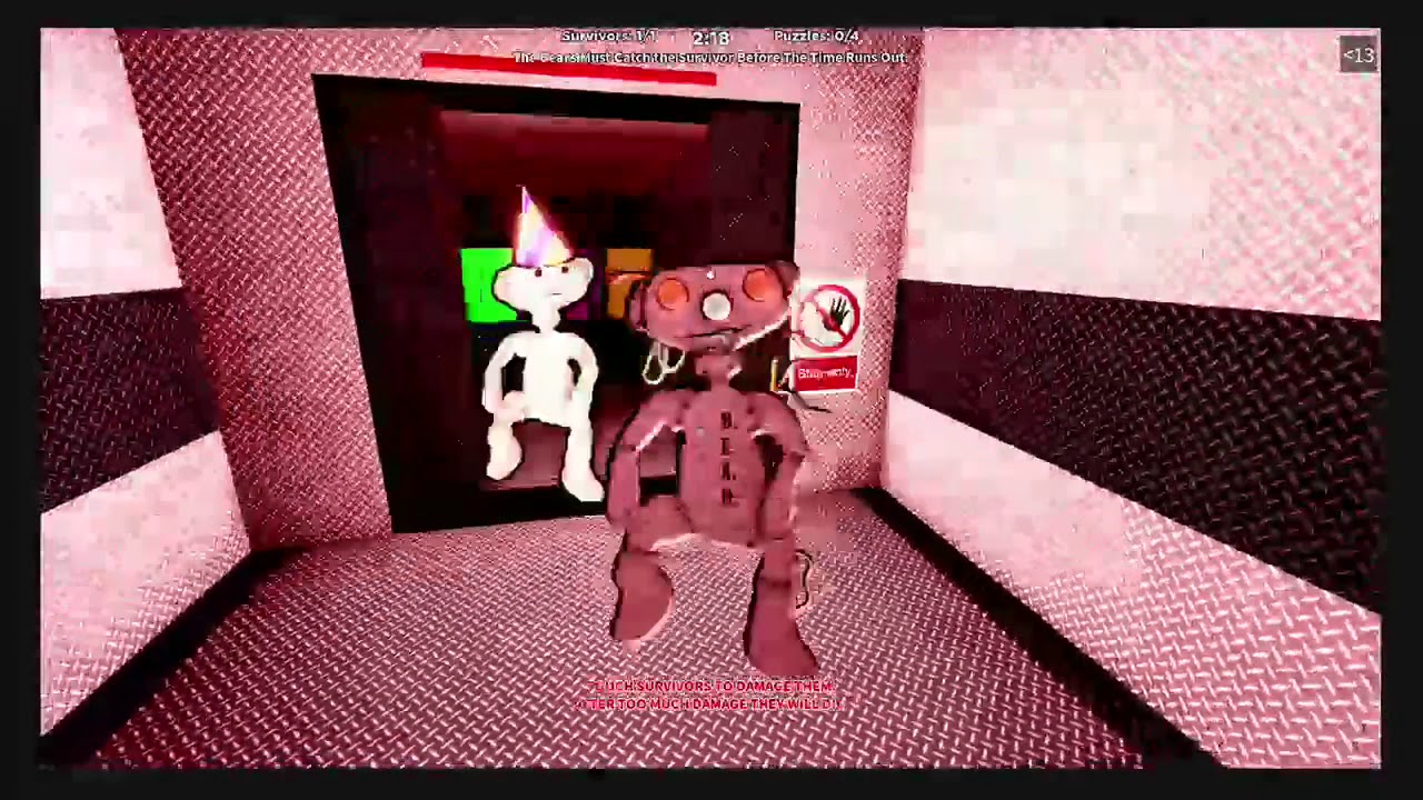 Funny bear.mp4 