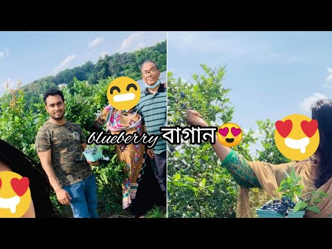 ভিডিও: শ্যাম্পেন এবং স্ট্রবেরি সহ সানগ্রিয়া