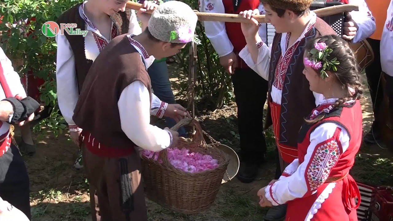 Ритуал Розобер с. Розово 2015 Rose-picking season in Bulgaria