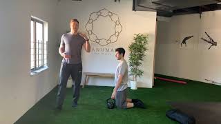 Hinge Progression - Goat Bag