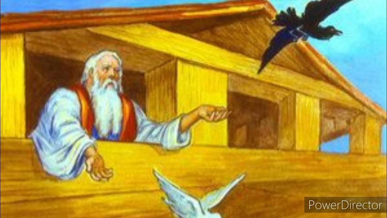 why-did-noah-release-the-raven-before-the-dove-youtube